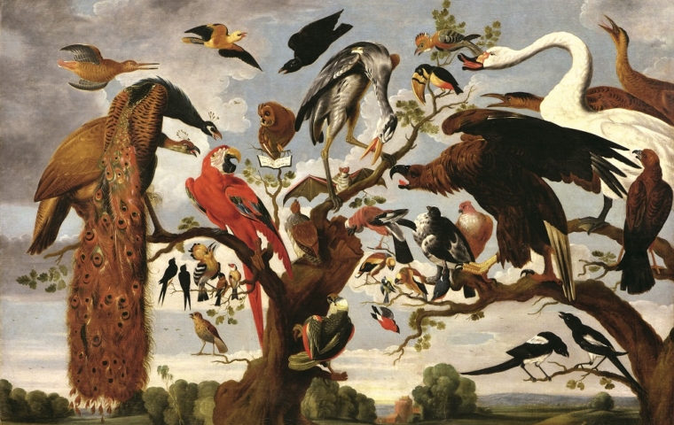 Гроот и.ф.снейдерс (снайдерс) ф. птичий концерт